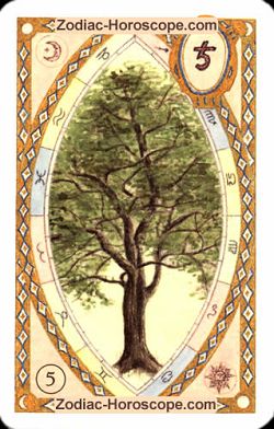 The tree, monthly Love and Health horoscope February Capricorn