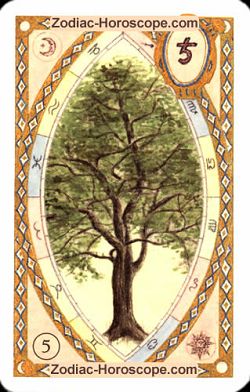 The tree, monthly Love and Health horoscope December Capricorn