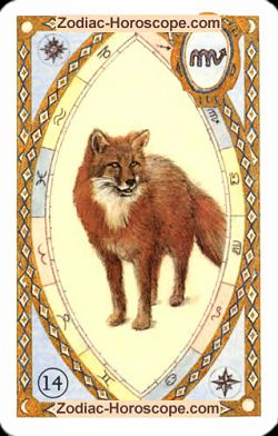 The fox, monthly Love and Health horoscope May Capricorn