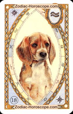 The dog, monthly Love and Health horoscope July Capricorn