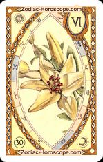 The lily astrological Lenormand Tarot