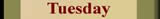 Capricorn horoscope tomorrow