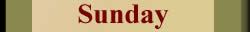 Capricorn horoscope sunday