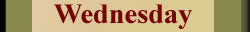 Daily Capricorn horoscope wednesday