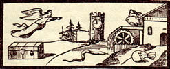 General Tarot card for today