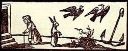 General Tarot card for today