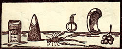 horoscope Capricorn