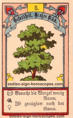 The tree, monthly Capricorn horoscope December