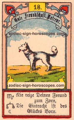 The dog, monthly Capricorn horoscope February