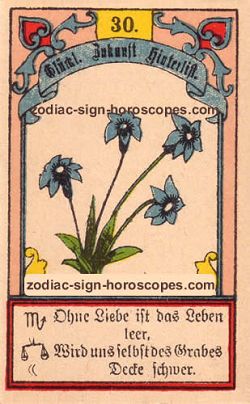 The lily, monthly Capricorn horoscope October