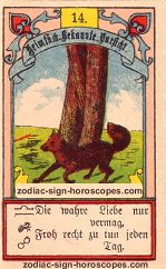 The fox antique Lenormand Tarot